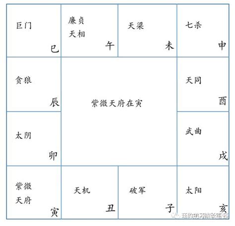 紫微斗數 身體部位|【紫微命盤